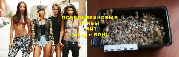 спайс Арсеньев