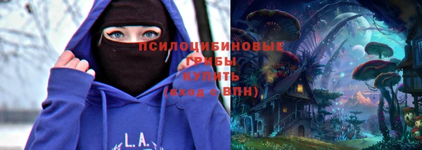 спайс Арсеньев